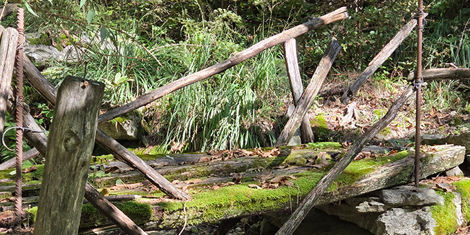 Herbstwald, Foto: Geib