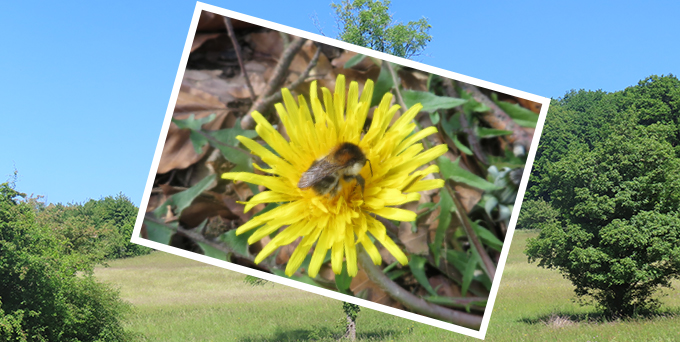 Schnappschuss des Tages